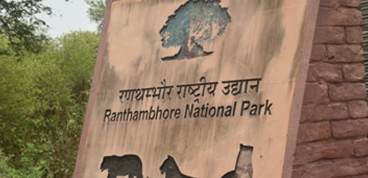 Day Trip to Ranthambore from Jaipur