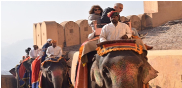 Elephant Ride at  Amber fort