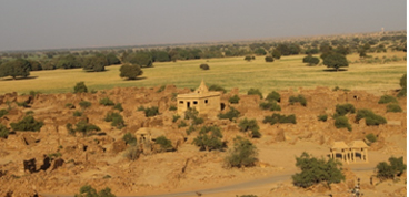 Day Trip to Longewala and Tanot Mata from Jaisalmer
